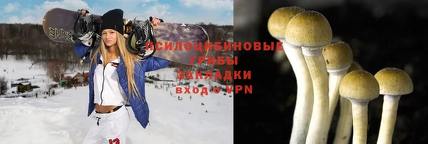 дурь Алзамай