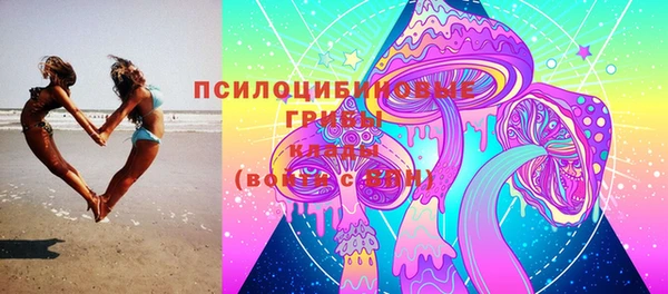 дурь Алзамай