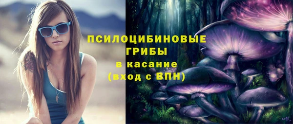 твердый Алексеевка