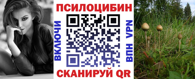 где продают   Усинск  Галлюциногенные грибы Magic Shrooms 